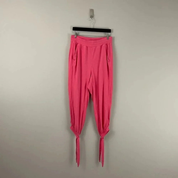 Free People Movement Circle Back Joggers in Lipstick Size Large - Picture 1 of 8